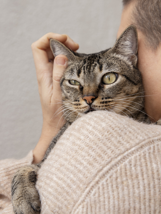 Cane adottato con la sua nuova famiglia
